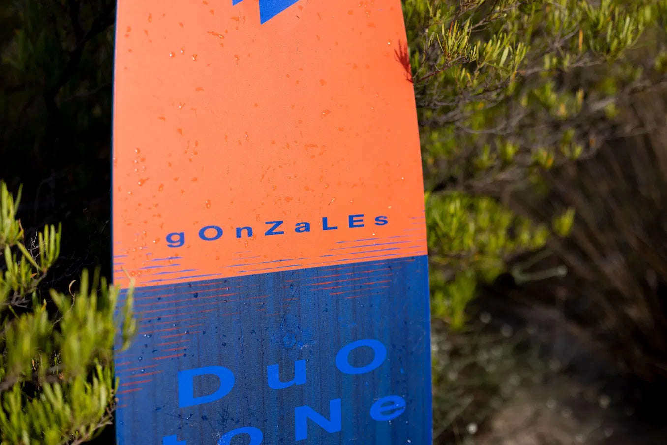 TWINTIP GONZALES DKT 25